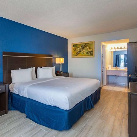 Developer Inn Orlando North, A Baymont By Wyndham 阿尔塔蒙特斯普林斯 外观 照片
